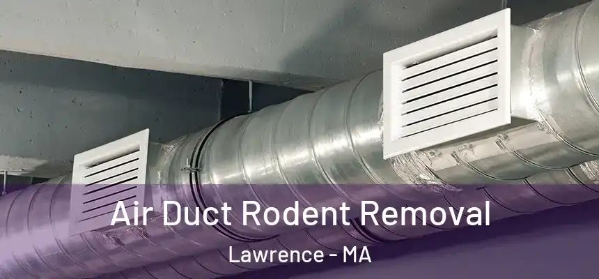 Air Duct Rodent Removal Lawrence - MA