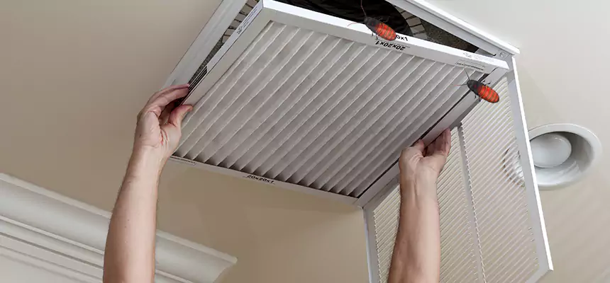 Our Insect Removal from Air Ducts Services in Lawrence, MA