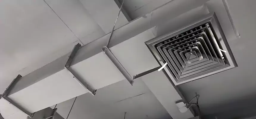 Our Pest Removal From Ducts Services in Lawrence, MA