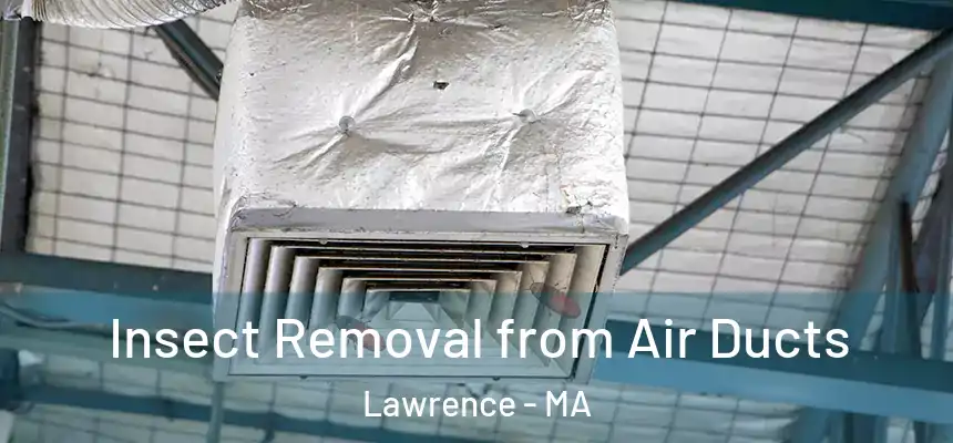 Insect Removal from Air Ducts Lawrence - MA