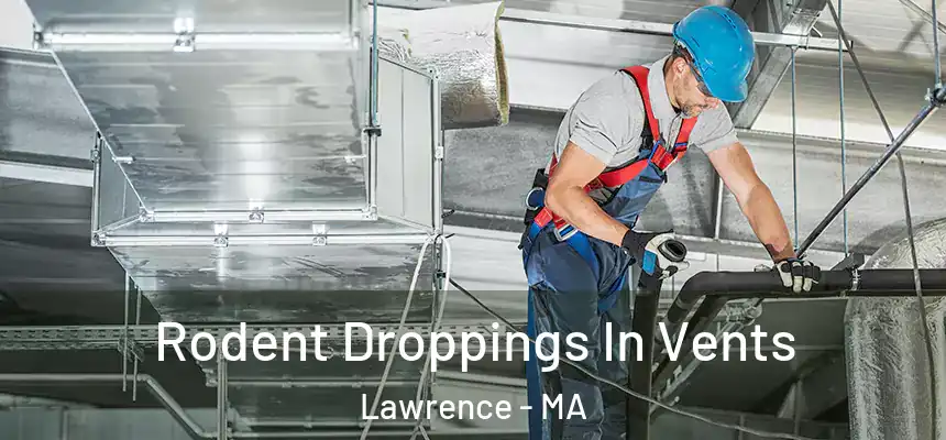 Rodent Droppings In Vents Lawrence - MA